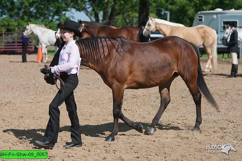 4H-Fn-Shw-09_0057.jpg