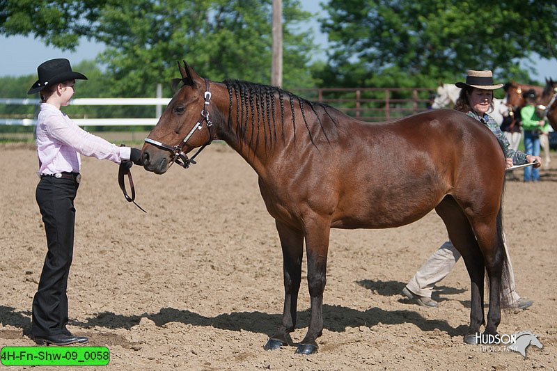 4H-Fn-Shw-09_0058.jpg