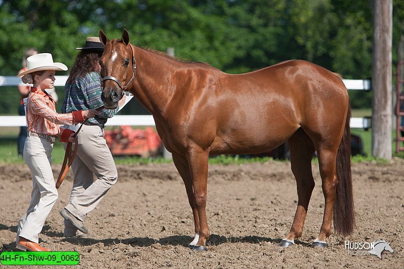 4H-Fn-Shw-09_0062.jpg