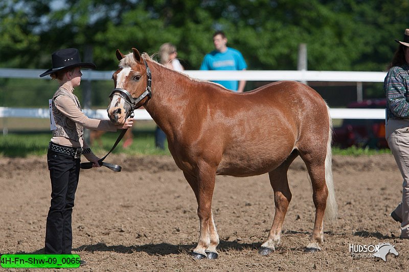 4H-Fn-Shw-09_0065.jpg