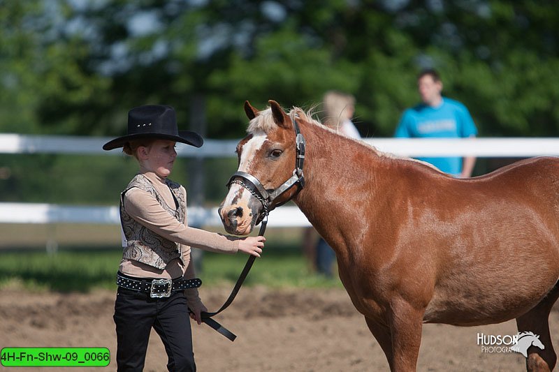 4H-Fn-Shw-09_0066.jpg