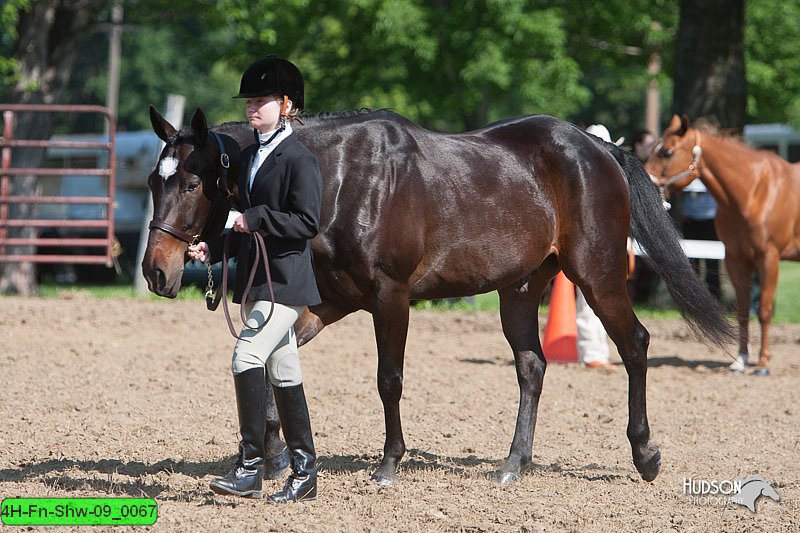 4H-Fn-Shw-09_0067.jpg
