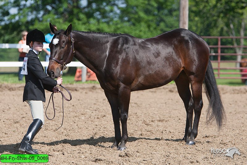 4H-Fn-Shw-09_0069.jpg