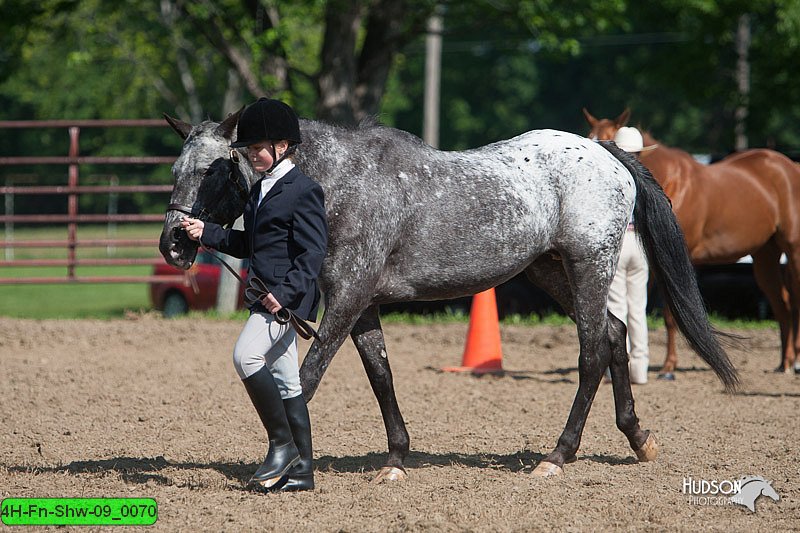 4H-Fn-Shw-09_0070.jpg