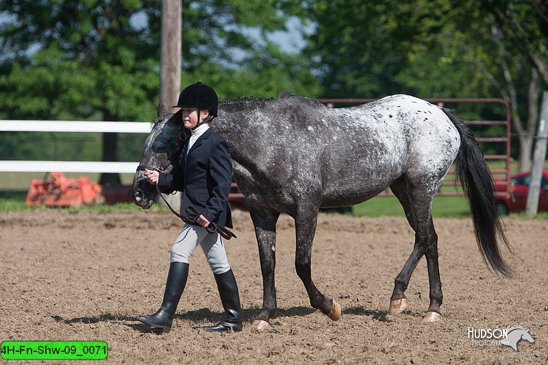 4H-Fn-Shw-09_0071.jpg