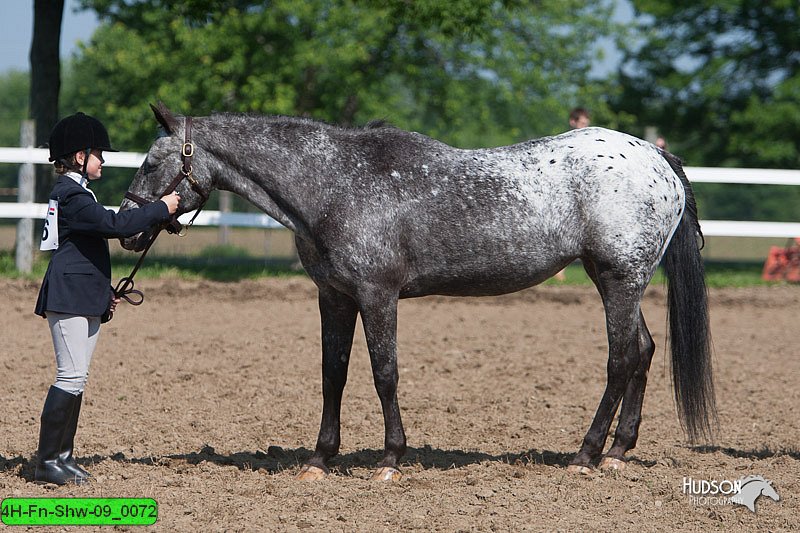 4H-Fn-Shw-09_0072.jpg