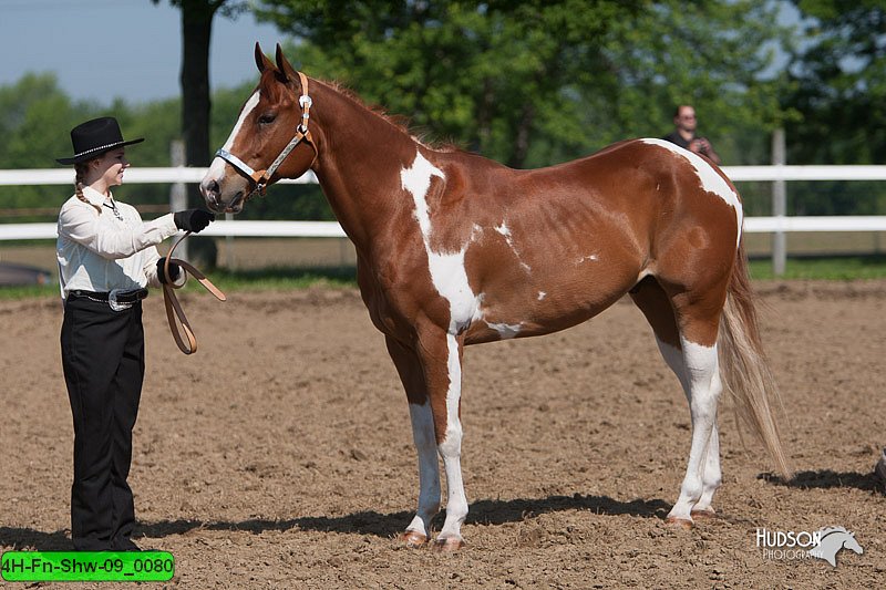 4H-Fn-Shw-09_0080.jpg