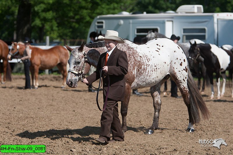 4H-Fn-Shw-09_0081.jpg
