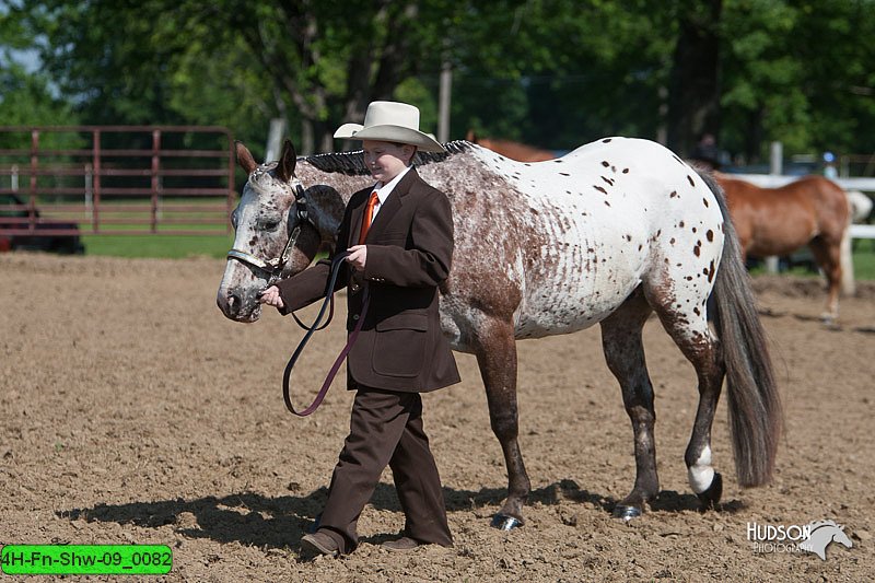 4H-Fn-Shw-09_0082.jpg