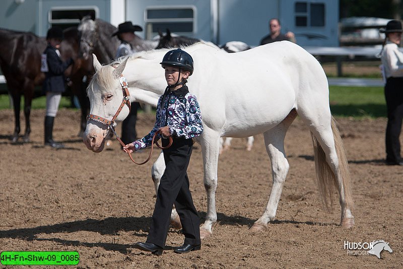 4H-Fn-Shw-09_0085.jpg