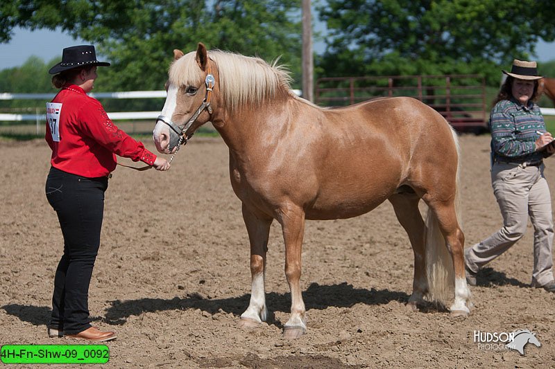 4H-Fn-Shw-09_0092.jpg