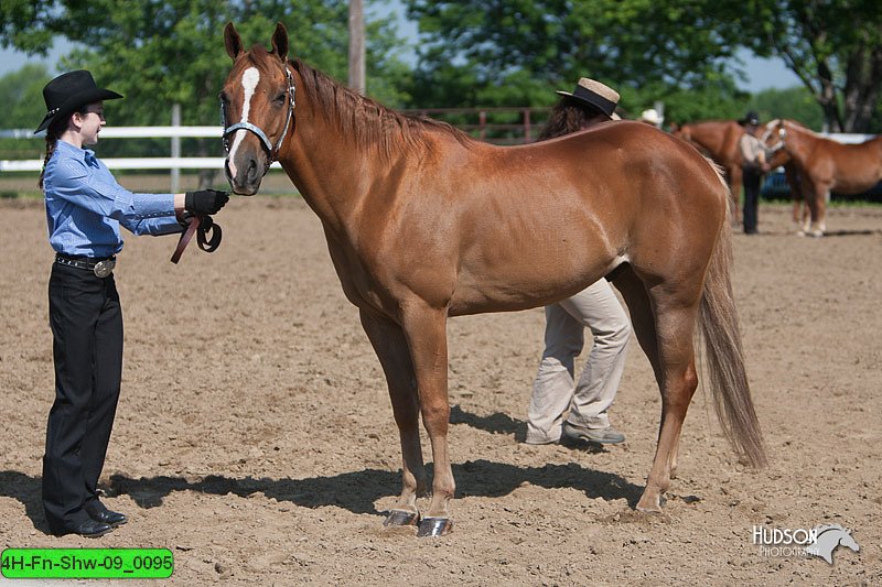 4H-Fn-Shw-09_0095.jpg