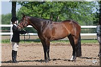 4H-Fn-Shw-09_0034.jpg