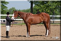4H-Fn-Shw-09_0038.jpg