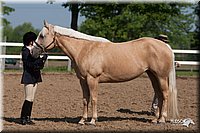 4H-Fn-Shw-09_0043.jpg