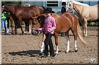 4H-Fn-Shw-09_0050.jpg