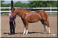 4H-Fn-Shw-09_0052.jpg