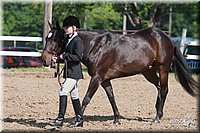 4H-Fn-Shw-09_0068.jpg