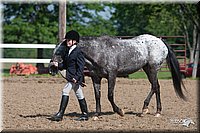 4H-Fn-Shw-09_0071.jpg