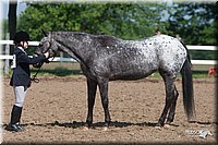 4H-Fn-Shw-09_0072.jpg