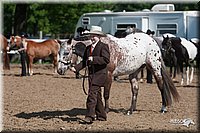 4H-Fn-Shw-09_0081.jpg
