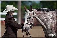 4H-Fn-Shw-09_0083.jpg