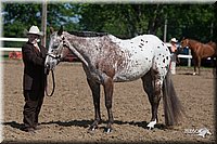 4H-Fn-Shw-09_0084.jpg