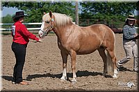 4H-Fn-Shw-09_0092.jpg