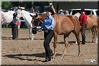 4H-Fn-Shw-09_0093.jpg