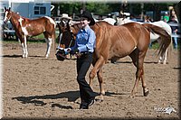 4H-Fn-Shw-09_0094.jpg