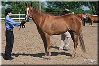 4H-Fn-Shw-09_0095.jpg