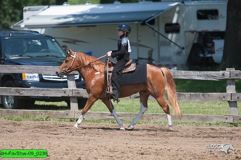 4H-Fn-Shw-09_0239.jpg