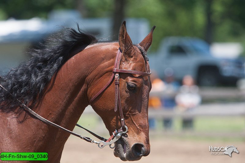 4H-Fn-Shw-09_0340.jpg