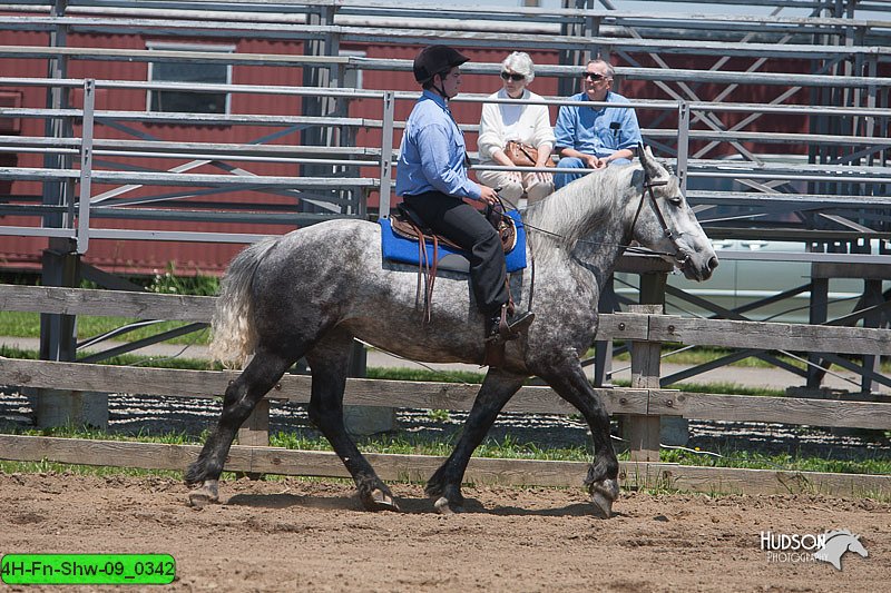 4H-Fn-Shw-09_0342.jpg