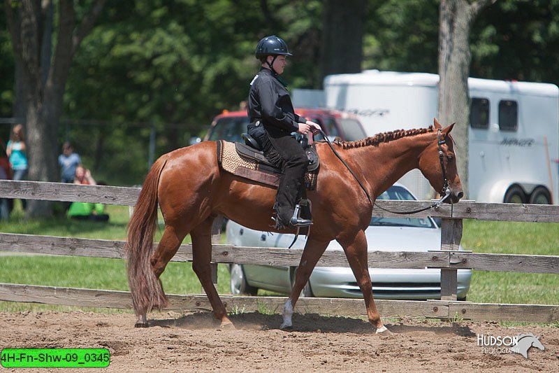 4H-Fn-Shw-09_0345.jpg