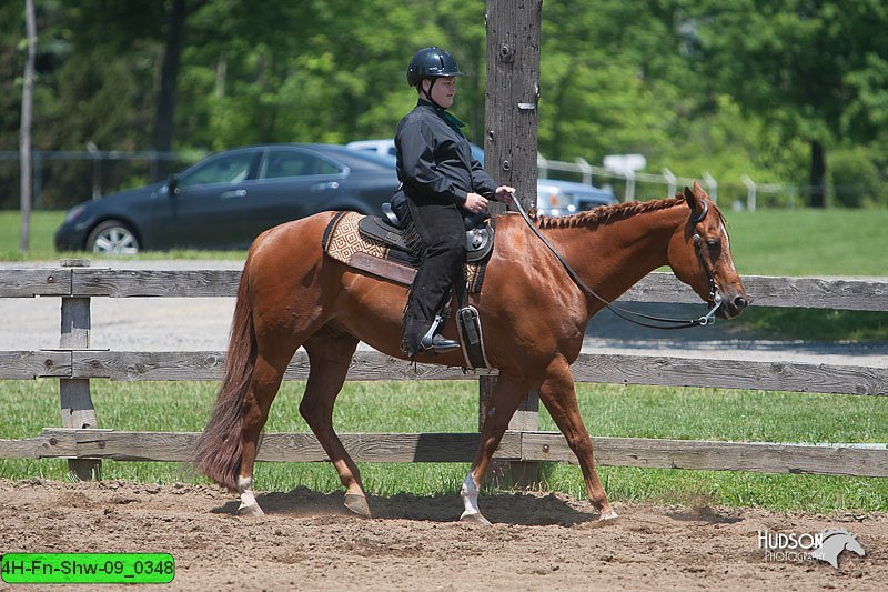 4H-Fn-Shw-09_0348.jpg