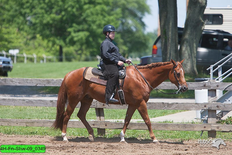 4H-Fn-Shw-09_0349.jpg