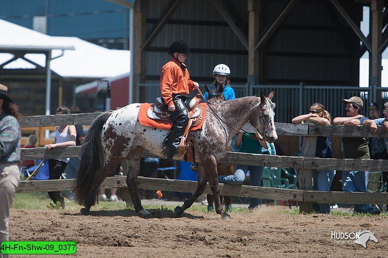 4H-Fn-Shw-09_0377.jpg