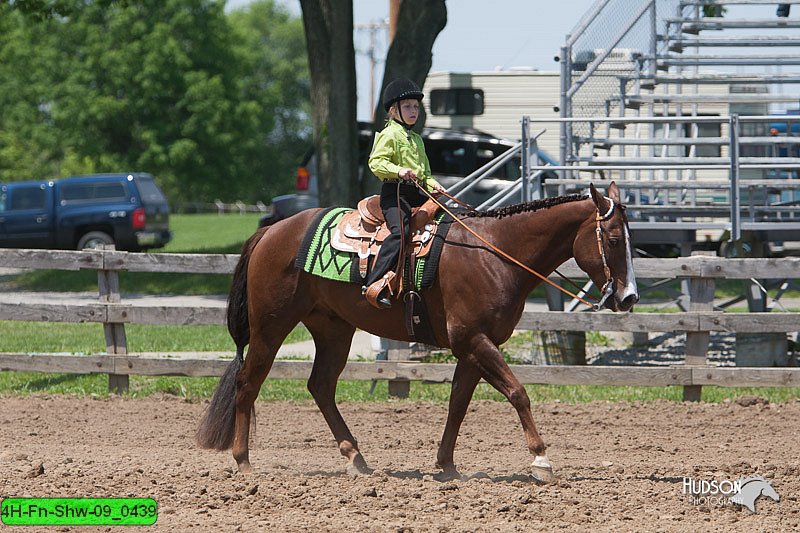4H-Fn-Shw-09_0439.jpg
