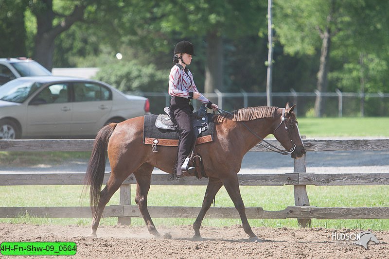 4H-Fn-Shw-09_0564.jpg