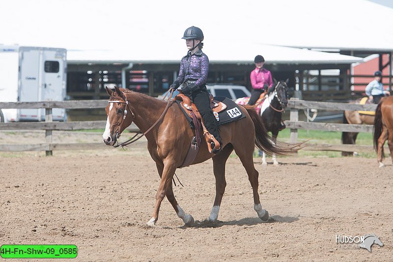 4H-Fn-Shw-09_0585.jpg