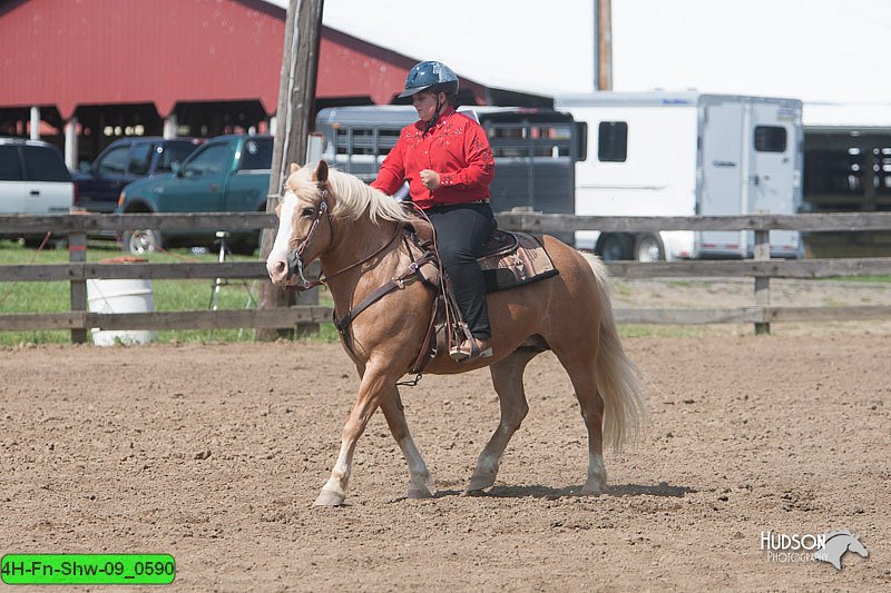 4H-Fn-Shw-09_0590.jpg