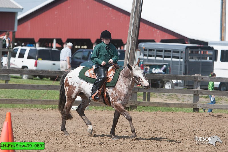4H-Fn-Shw-09_0592.jpg