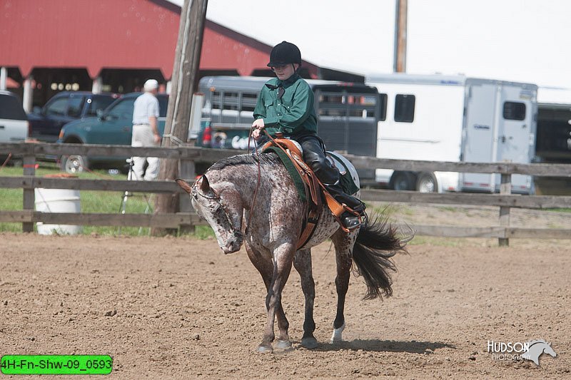 4H-Fn-Shw-09_0593.jpg