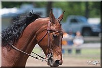 4H-Fn-Shw-09_0340.jpg
