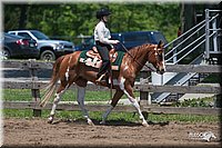 4H-Fn-Shw-09_0378.jpg