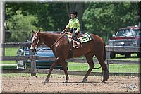 4H-Fn-Shw-09_0430.jpg