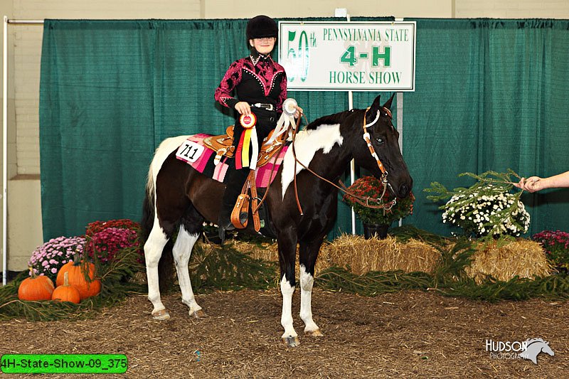 4H-State-Show-09_375.jpg