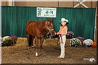 4H-State-Show-09_367.jpg