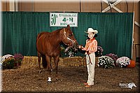 4H-State-Show-09_368.jpg